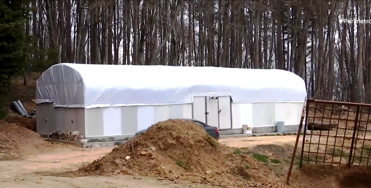 Τοπικές και εισαγόμενες ποικιλίες μανιταριών καλλιεργούνται στην Αρναία Χαλκιδικής