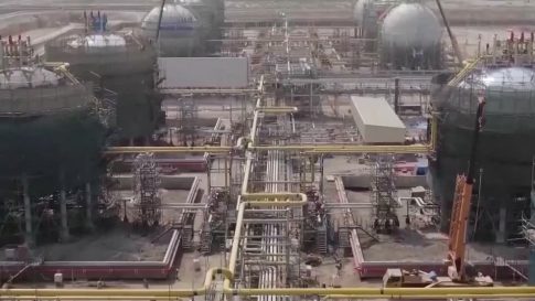 Ρέθυμνο: Πήγε να αρπάξει λαγό για την… «εκπαίδευση των σκύλων» του – Πρόστιμο από τη Θηροφυλακή