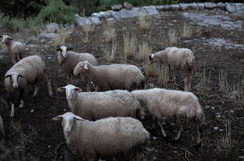Χανιά: Ακυρώνεται λόγω καιρού η παρέλαση για την 25η Μαρτίου