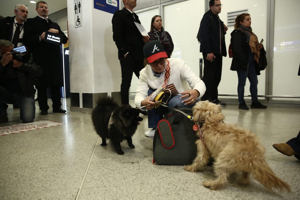 Επαναπατρίστηκαν 101 πολίτες από το Άμπου Ντάμπι – Είχαν μείνει πίσω γιατί δεν μπορούσαν να ταξιδέψουν τα κατοικίδιά τους