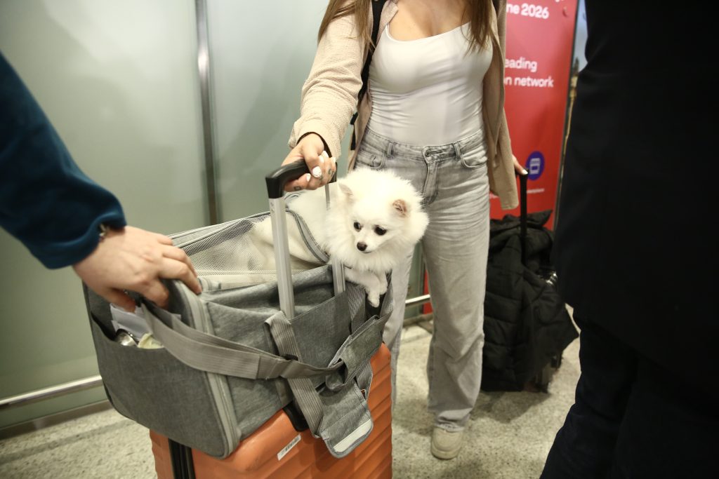 Επαναπατρίστηκαν 101 πολίτες από το Άμπου Ντάμπι – Είχαν μείνει πίσω γιατί δεν μπορούσαν να ταξιδέψουν τα κατοικίδιά τους