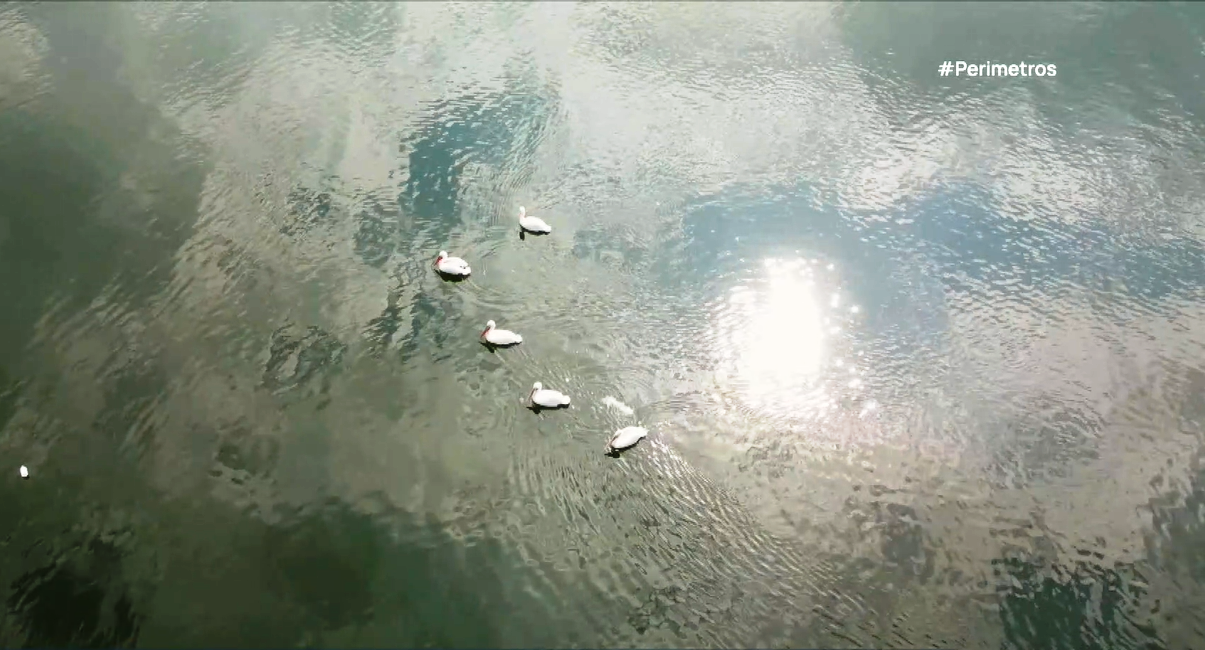 Ντοκιμαντέρ για την πανέμορφη λίμνη Πολυφύτου