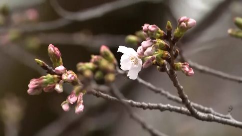 Κυκλική ποδηλατική εξόρμηση με τον ΕΟΣ Κορίνθου