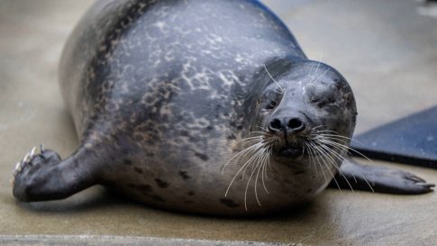 Εξοπλισμός για την Ακαδημία Εμπορικού Ναυτικού Ηπείρου μέσω του Επιχειρησιακού Προγράμματος <strong>2021-2027</strong>