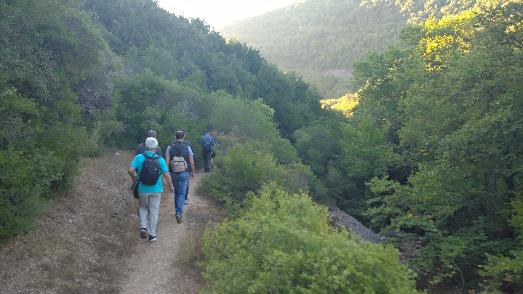 474217430-2813875838784332-1229170575168759868-n Παναχαϊκό όρος: Από δυσπρόσιτο στο παρελθόν, στο σήμερα της εύκολης πρόσβασης και ανάδειξης της ομορφιάς του