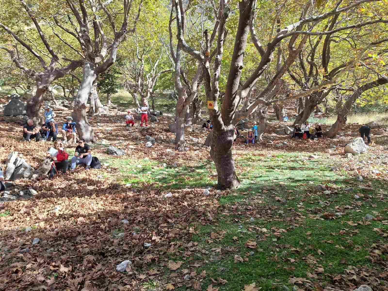 482030177-1036684175163932-5935506885264044360-n Παναχαϊκό όρος: Από δυσπρόσιτο στο παρελθόν, στο σήμερα της εύκολης πρόσβασης και ανάδειξης της ομορφιάς του