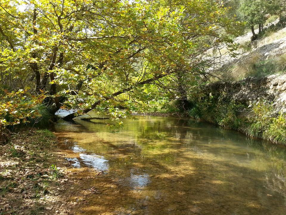 557462739-1195538735945141-3561292613075933261-n Παναχαϊκό όρος: Από δυσπρόσιτο στο παρελθόν, στο σήμερα της εύκολης πρόσβασης και ανάδειξης της ομορφιάς του