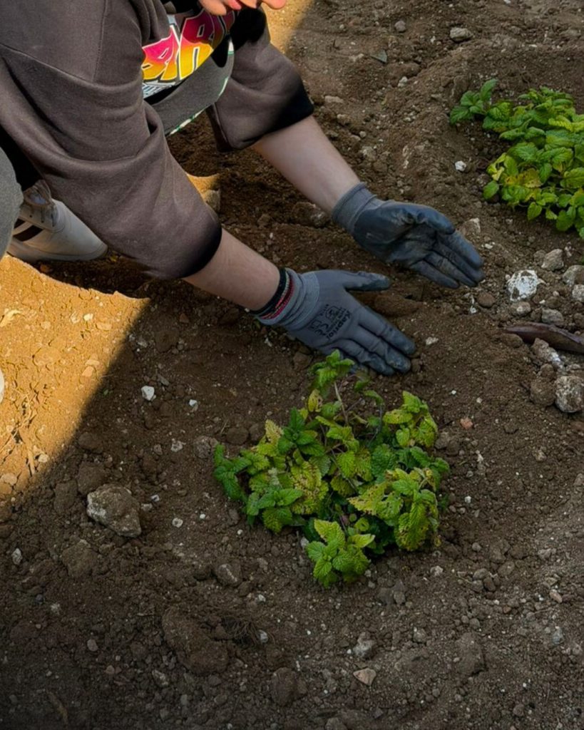 Ρόδος: «Ο Κήπος της Κοινωνίας» ζωντανεύει με δράσεις και φέρνει κοντά τους πολίτες