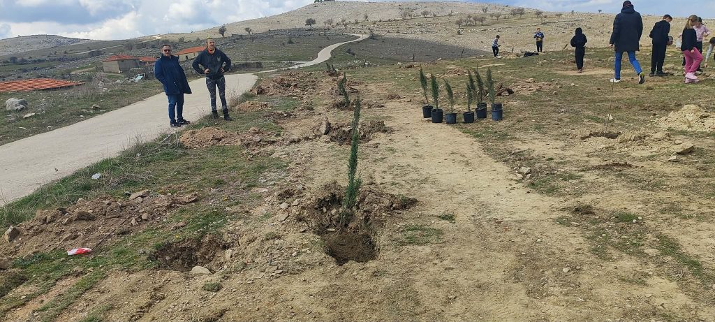 Κοζάνη: Μαθητές φύτεψαν και «υιοθέτησαν» δέντρα στη Σιάτιστα – Ένα ζωντανό μάθημα αγάπης για τη φύση