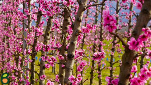 Βίντεο – ντοκουμέντο του ΕΡΤnews από την πυραυλική επίθεση σε βιομηχανική ζώνη στο Αμπού Ντάμπι