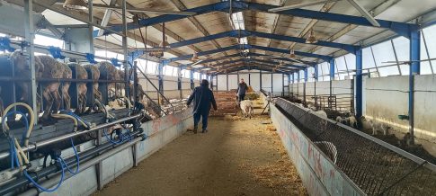 Πολύωρη διακοπή ρεύματος στον οικισμό Χαμηλού Σαπών την Τρίτη