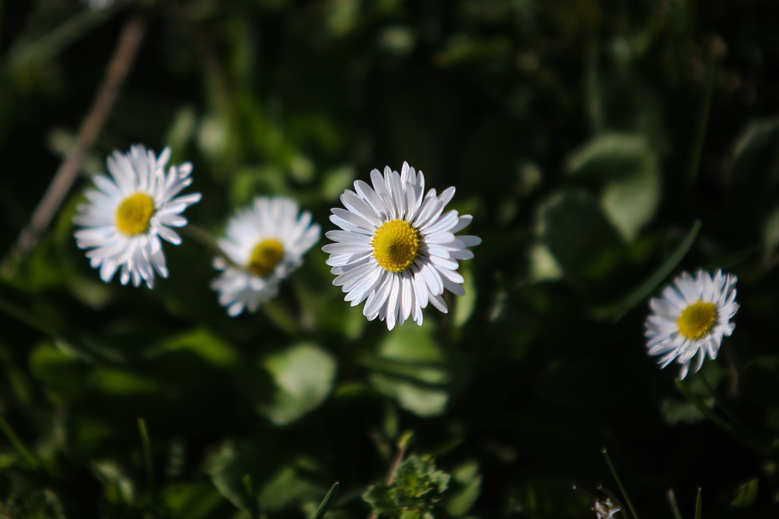 KAIΡOΣ  (ΘΑΝΑΣΗΣ ΚΑΛΛΙΑΡΑΣ/EUROKINISSI)