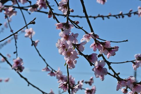 Κύπρος – Μήνυμα Χριστοδουλίδη μετά την πρόσκρουση drone στη βάση της RAF στο Ακρωτήρι: Δεν θα αποτελέσουμε μέρος στρατιωτικής επιχείρησης