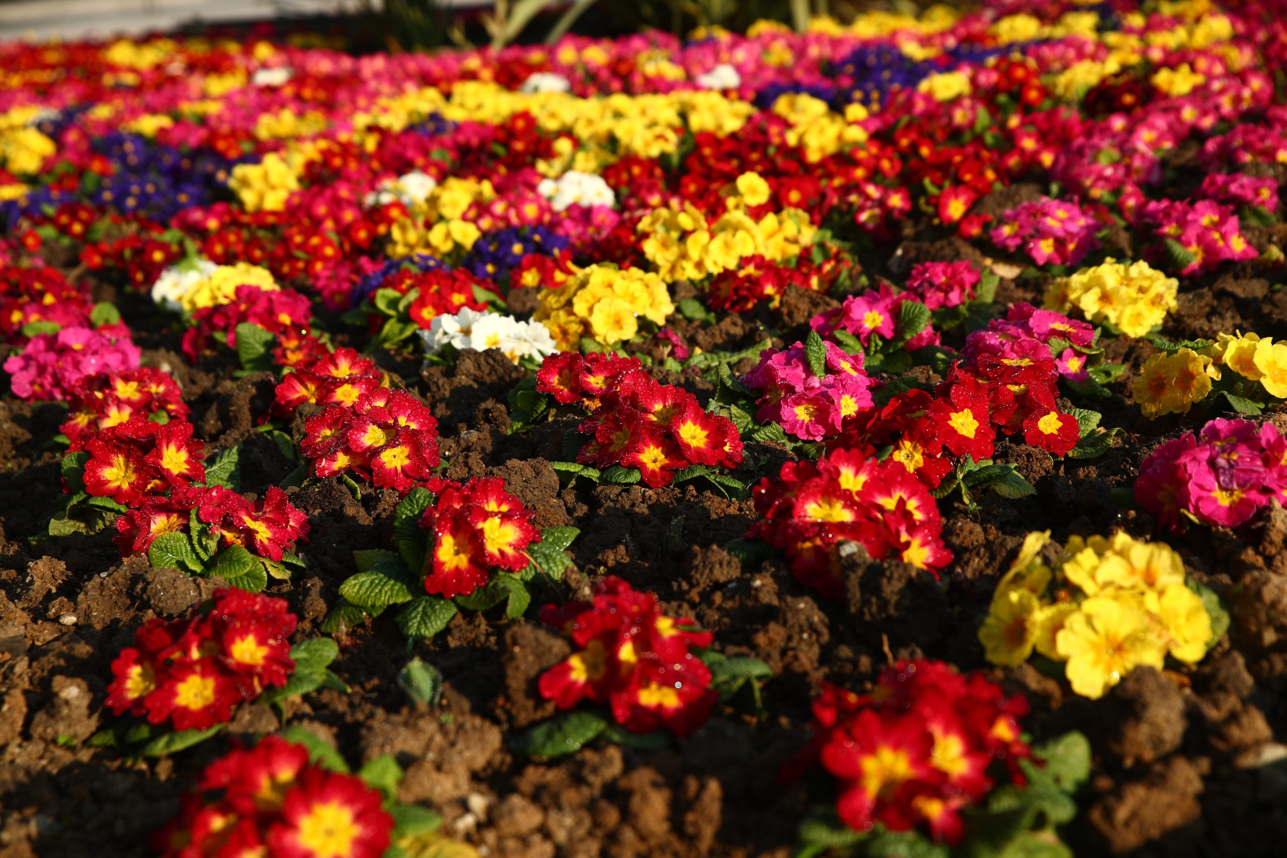 Εορτολόγιο: Δεν καταγράφεται ονομαστική εορτή για το Σάββατο, 28 Μαρτίου