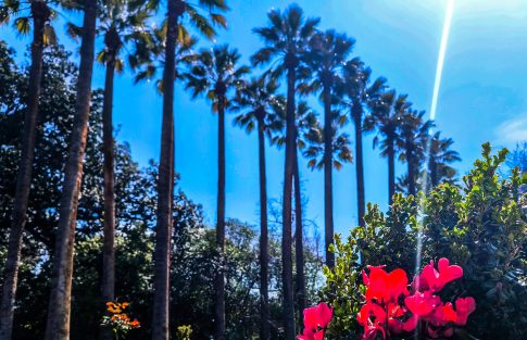 Live: Δείτε τι θα συμβεί σήμερα σε αυτούς τους αλήτες, λέει ο Τραμπ – Σειρήνες ξανά για πύραυλο στη νατοϊκή βάση του Ιντσιρλίκ στην Τουρκία