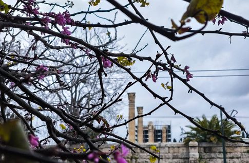 Πρώτη επίσκεψη Μαμντάνι στην Αρχιεπισκοπή Αμερικής
