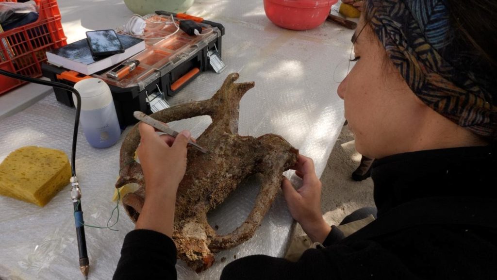 Εντυπωσιακά αρχαιολογικά ευρήματα στον βυθό της Καρπάθου