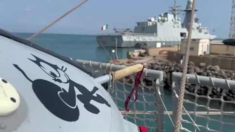 <strong>Ελαιοκομικό Μητρώο: Υποχρεώσεις Ελαιοπαραγωγών για τις Δηλώσεις Συγκομιδής</strong>