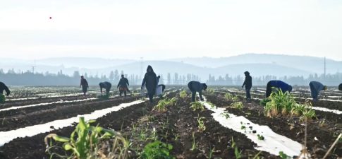 Μένουμε στο σπίτι <br/> και διαβάζουμε ένα καλό βιβλίο