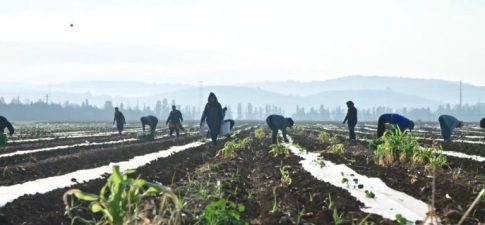 Volos Summer School of Human Genetics 2026 στο Πανεπιστήμιο Θεσσαλίας