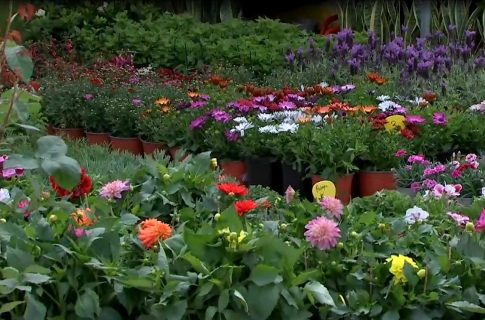 Κάτω Σχολάρι Θεσσαλονίκης: Σοκάρουν οι εικόνες από την «εξαφανισμένη» τεχνητή λίμνη