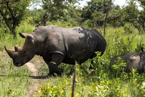<br>Αποβολές μαθητών και στην Ηλεία για χρήση κινητών στα σχολεία