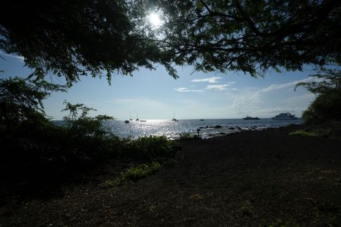 Μαρινέλλα: Στη Μητρόπολη Αθηνών η σορός της – Πλήθος κόσμου στο τελευταίο αντίο, στις 14:00 η κηδεία