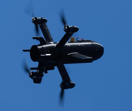 <strong>Με επιτυχία η Γιορτή Ακτινιδίου σε Αιγάνη και Πυργετό Λάρισας</strong>