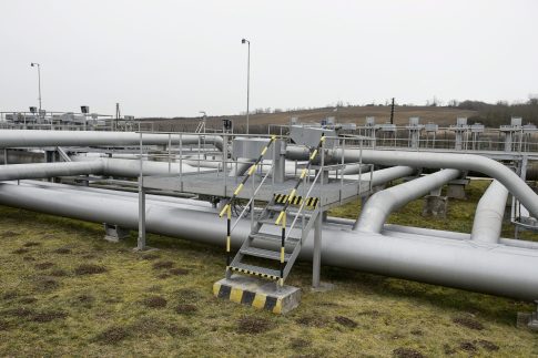 Ιεράπετρα: Σύλληψη για <strong>δηλητηρίαση αδέσποτου σκύλου</strong>