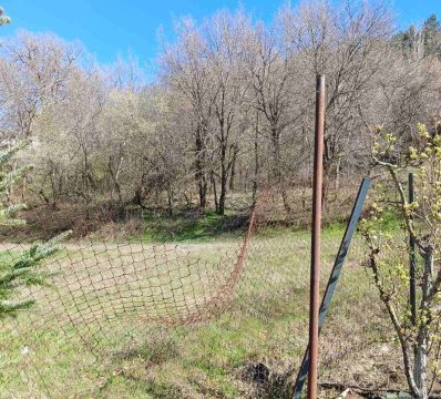 Aμεση ανάγκη ίδρυσης νέας σχολικής μονάδας Ειδικής Αγωγής στην Κοζάνη