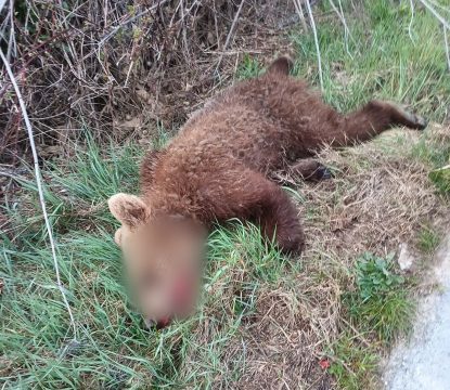 <strong>Πτολεμαΐδα: Πανελλήνια Λαμπαδηδρομία Εθελοντών Αιμοδοτών</strong>