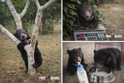 Ξεκινά γονιδιακός έλεγχος για τα δύο βρέφη στην Κάτω Αχαΐα – «<strong>Ένας θάνατος σε αυτή την ηλικία πάντα είναι ένας γρίφος</strong>» λέει ο ιατροδικαστής Δ. Γαλεντέρης