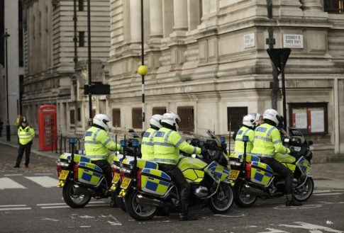Πέρα από τη συντροφιά: Πώς οι γάτες φέρνουν ελπίδα σε επιθετικούς καρκίνους