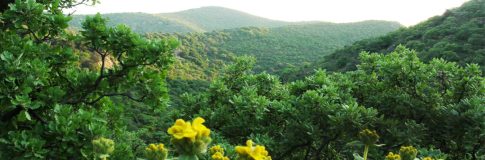 Ο Κ. Πιερρακάκης προειδοποιεί για παρατεταμένη ενεργειακή αναταραχή και αφήνει ανοιχτό το ενδεχόμενο χρήσης στρατηγικών αποθεμάτων