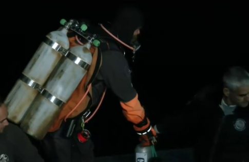 Λος Άντζελες: Έχασε τα πάντα, αλλά επέλεξε να σώσει τον πίνακα του Φασιανού – Ο Φρ. Ορού στο ΕΡΤΝews