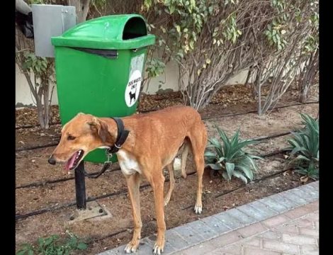 “Send Barron”: H διαδικτυακή καμπάνια για την στράτευση του Μπάρον Τραμπ στον πόλεμο με το Ιράν