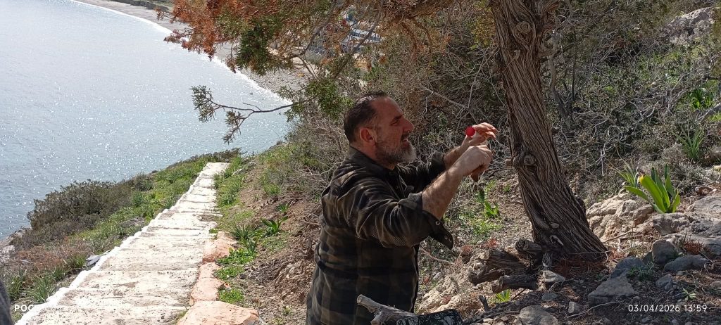 Κάρπαθος: Ολοκληρώθηκε η αυτοψία ειδικού κλιμακίου για τη μαζική νέκρωση κωνοφόρων