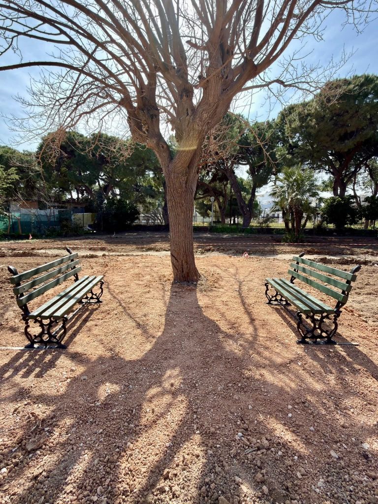 «Κήπος της Κοινωνίας» στη Ρόδο: Μια νέα πράσινη πρωτοβουλία για τους δημότες