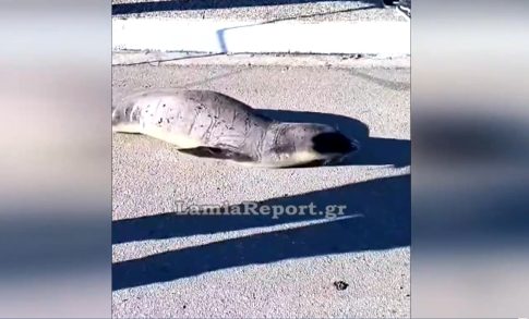 Παιδικός καρκίνος: Πάνω από 400.000 περιστατικά ετησίως σε όλο τον κόσμο