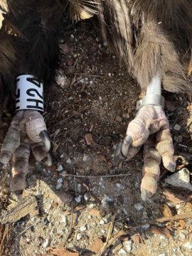 Αλεξανδρούπολη: Στις 23 <em>Μαΐου</em> εκδικάζεται η υπόθεση για το «κλείδωμα» νηπίων σε αποθηκάκι παιδικού σταθμού