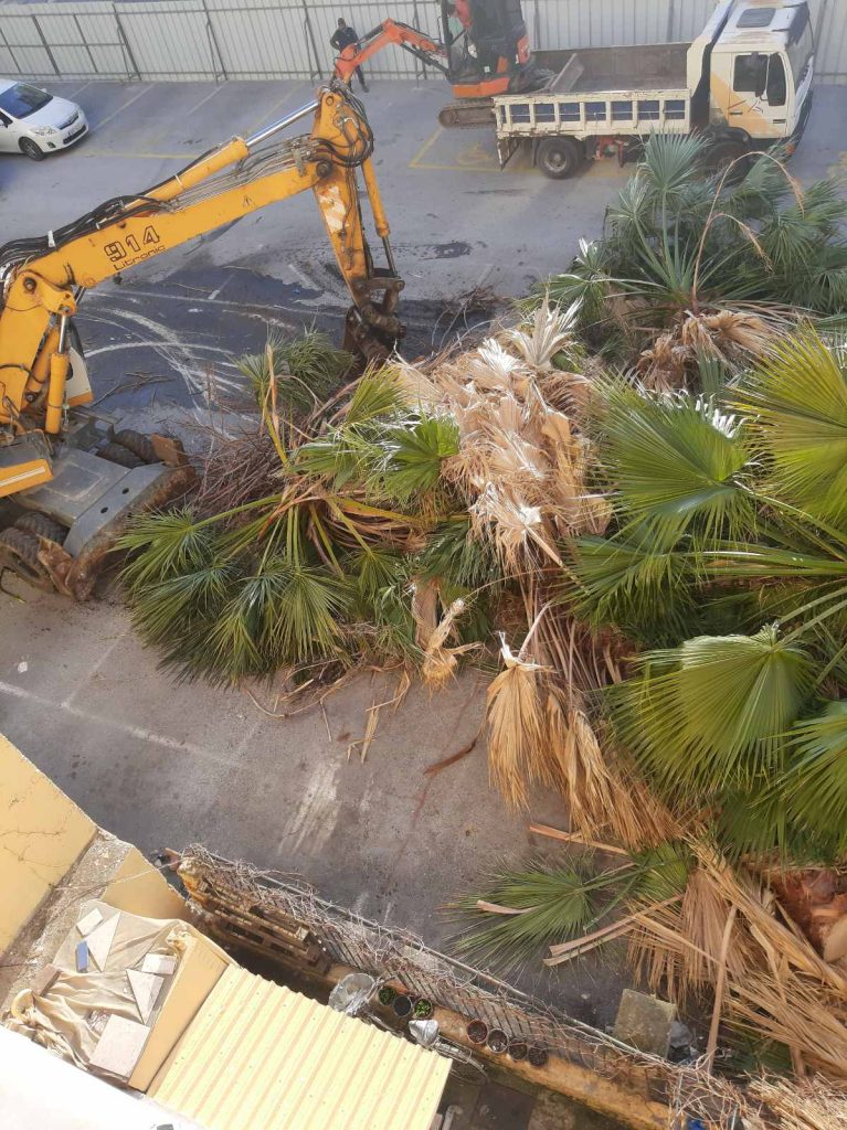 Περιβαλλοντική Πρωτοβουλία: Ο δήμος Βόλου κόβει δένδρα και δεν φυτεύει νέα