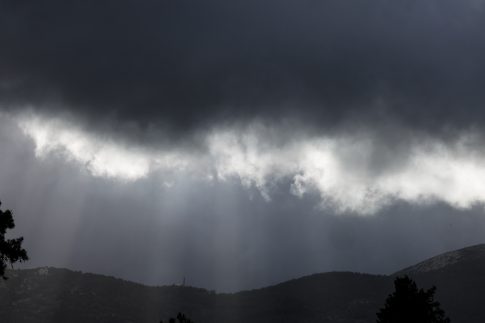 Πήλιο: Δημιουργία καταλυμάτων για αδέσποτα από παλιά στροφεία καλωδίων