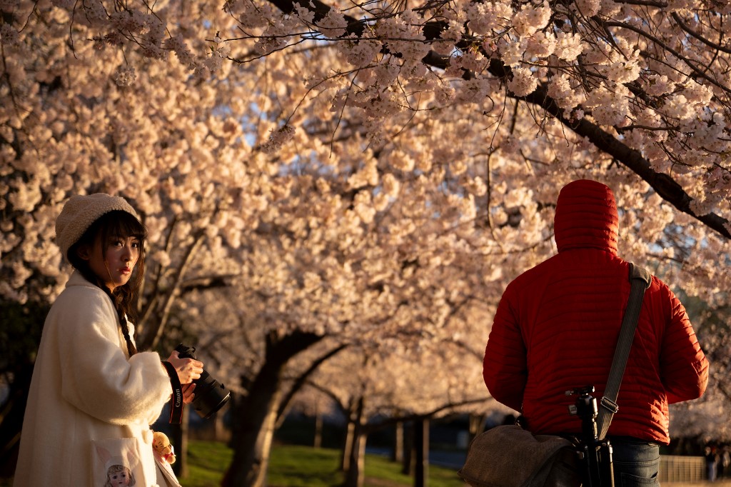Η μαγεία της Άνοιξης: Οι ανθισμένες κερασιές της Ουάσινγκτον προσφέρουν ένα πανέμορφο θέαμα