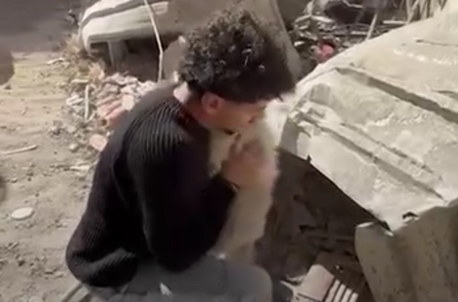 Λίβανος: Ένας 20χρονος σώζει εκατοντάδες κατοικίδια που εγκαταλείφθηκαν λόγω πολέμου