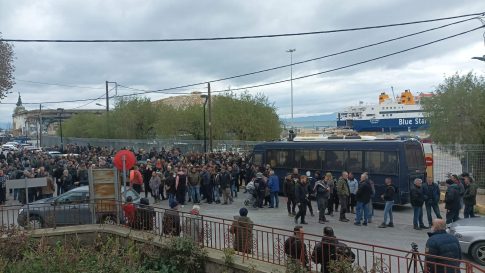 Λέσβος: Σήμα κινδύνου από το Πανεπιστήμιο Αιγαίου για το δάκο – Τι δείχνουν τα δεδομένα
