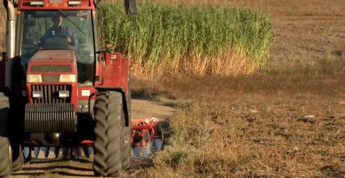 Το Ισραήλ ενέκρινε νόμο για θανατική ποινή σε Παλαιστίνιους που κρίνονται ένοχοι για αντιισραηλινές επιθέσεις