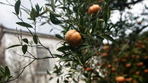 Εξοπλισμός για την Ακαδημία Εμπορικού Ναυτικού Ηπείρου μέσω του Επιχειρησιακού Προγράμματος <strong>2021-2027</strong>