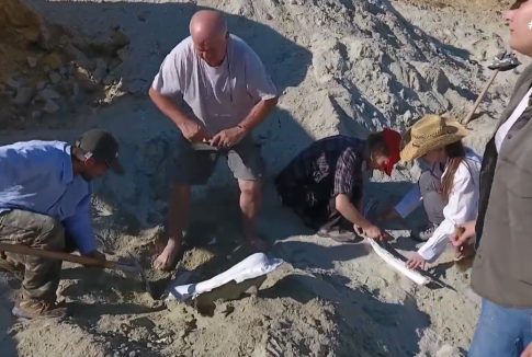 Πίνακες αποτελεσμάτων για το πρόγραμμα νεανικής επιχειρηματικότητας<br>με έμφαση στις γυναίκες – Γ’ Κύκλος