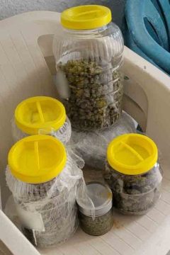 Διατροφή και ενεργειακές ανάγκες που σχετίζονται με την ορειβασία