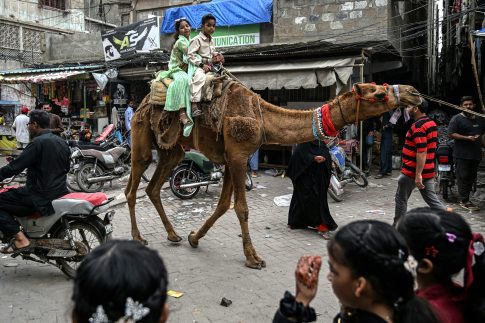 Greece International Film Festival: Ένα διήμερο όπου ο κινηματογράφος ανοίγει διάλογο με τον κόσμο